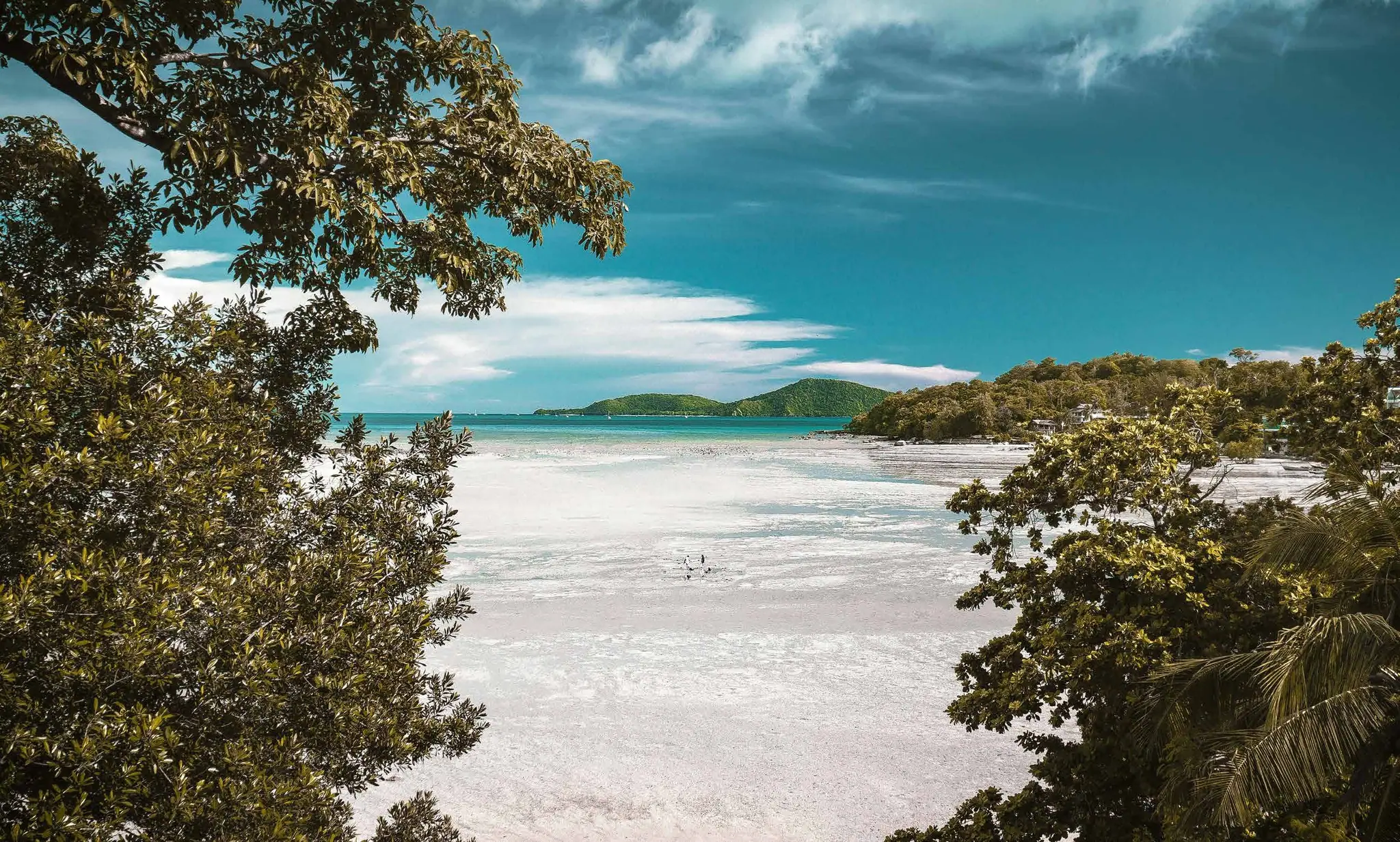 Playa de arena blanca enmarcada por árboles tropicales